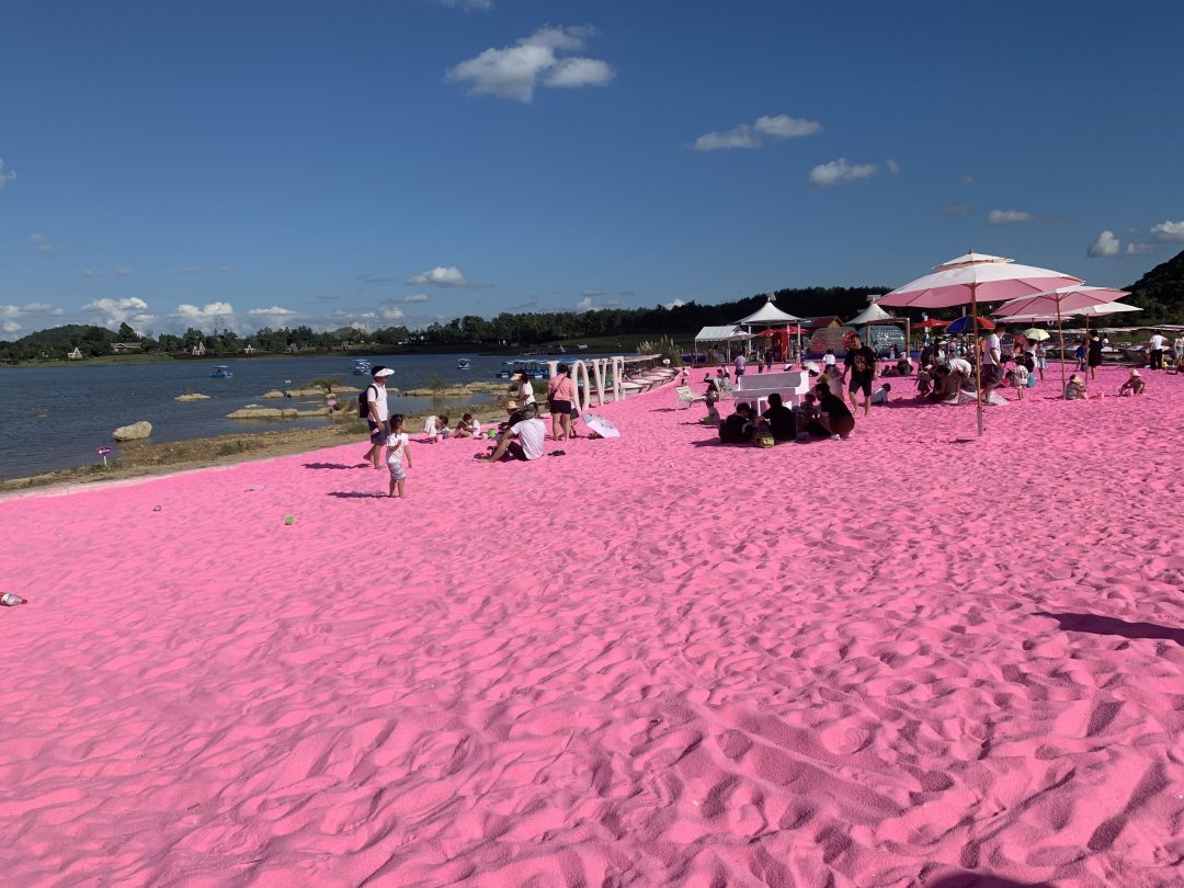 粉色的沙滩图片