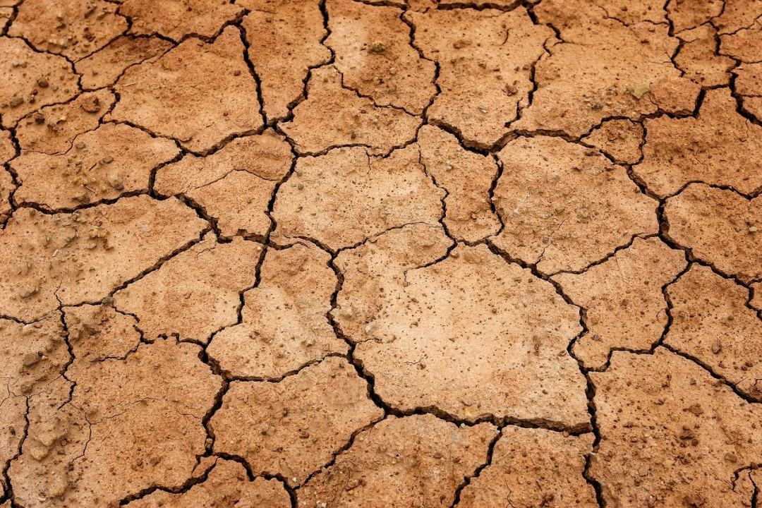 地球 干旱 地面图片