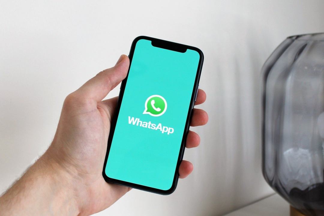 手机 Whatsapp的 应用程序图片