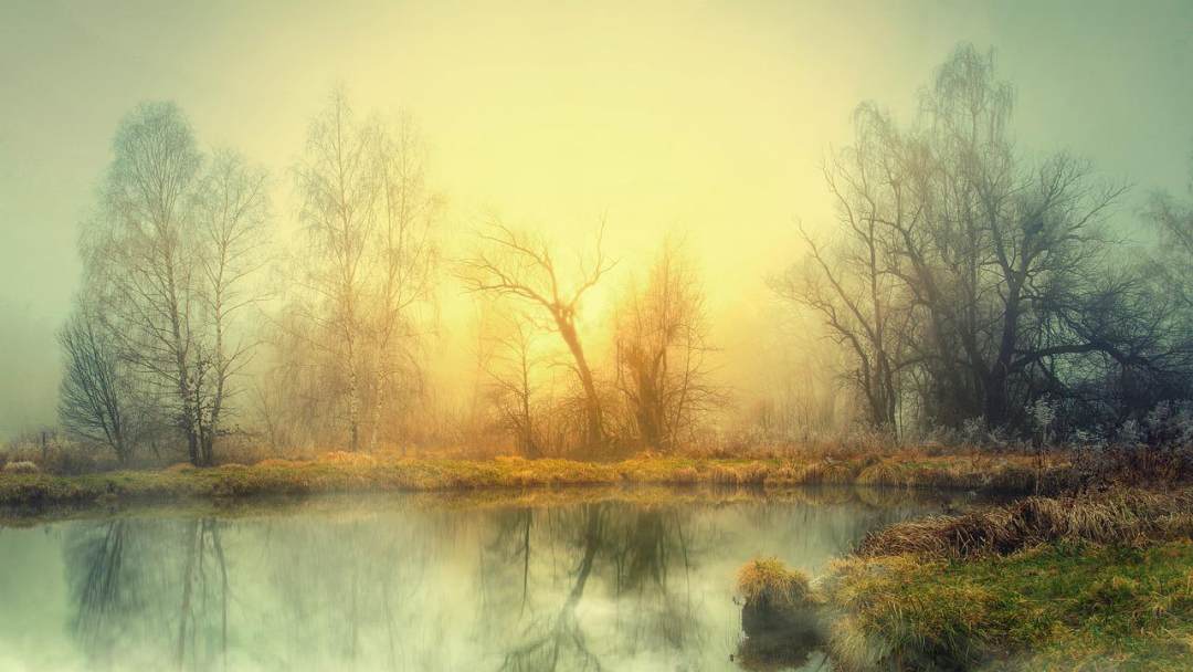湖 多雾路段 日落 自然 树木图片