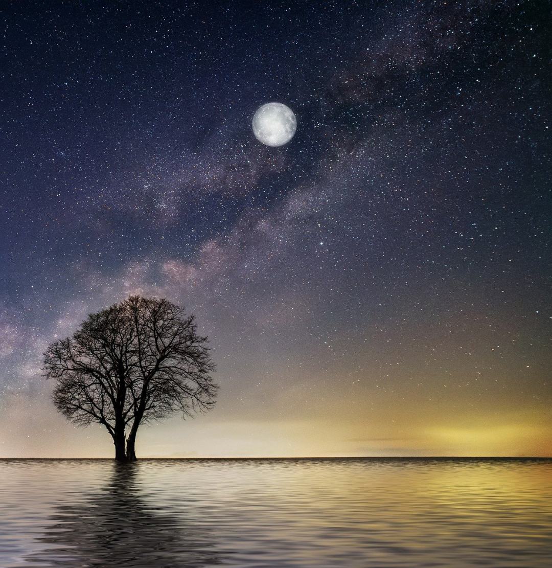 黄昏 湖 月光 满月 夜晚图片