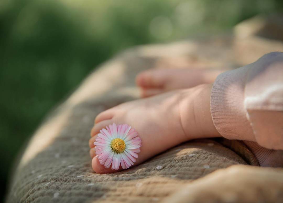 花 雏菊 腿 婴儿 孩子图片