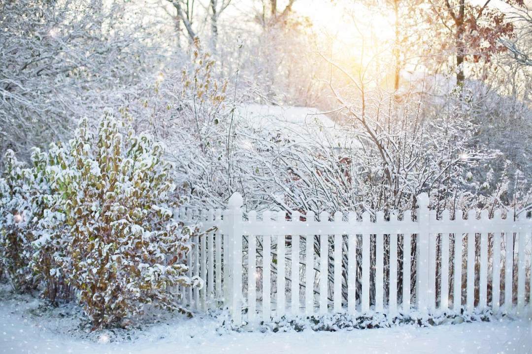 栅栏 雪 房子 下雪的 古雅图片