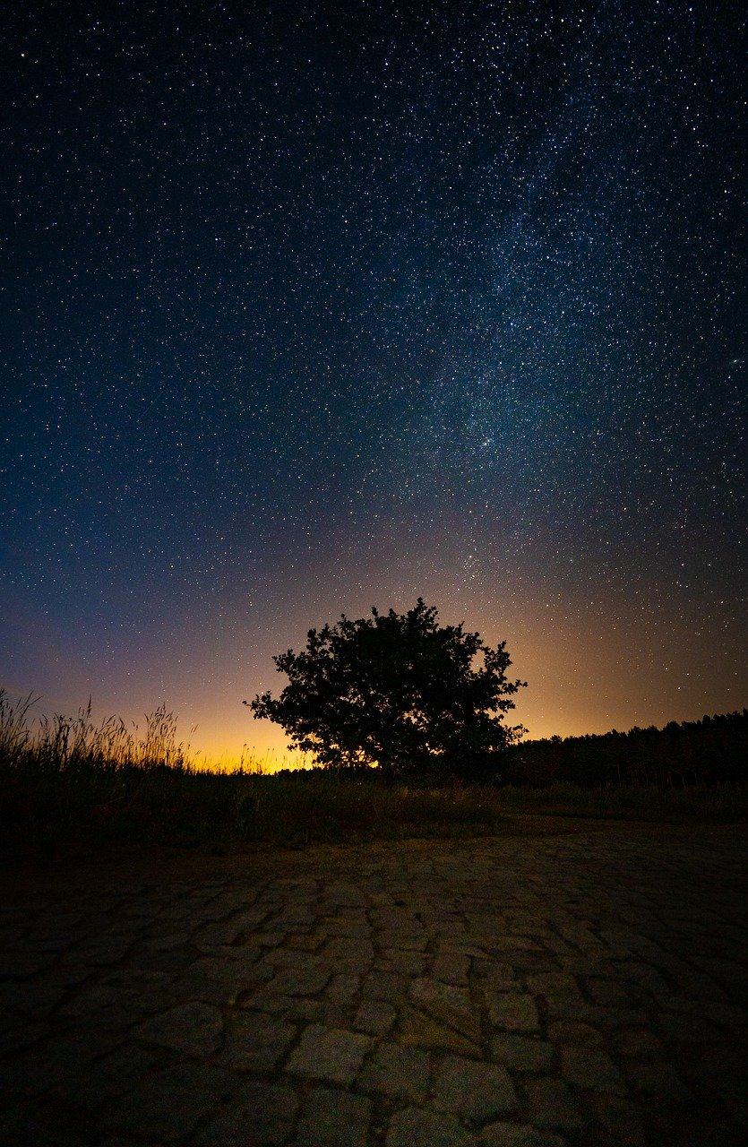 树,星空,夜空,铺路石图片