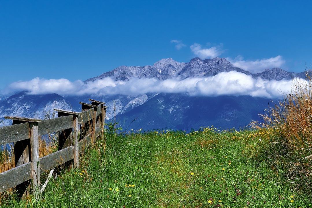 阿尔卑斯山 山 草 自然 奥地利图片